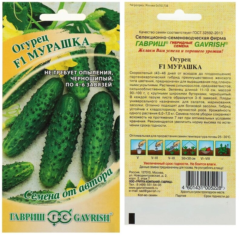 Мурашка огурцы схема посадки