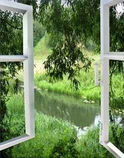 Вид из окна.