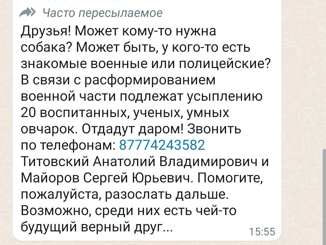 Я сразу давай писать пост, думаю, может кого-то из собачек спасу,