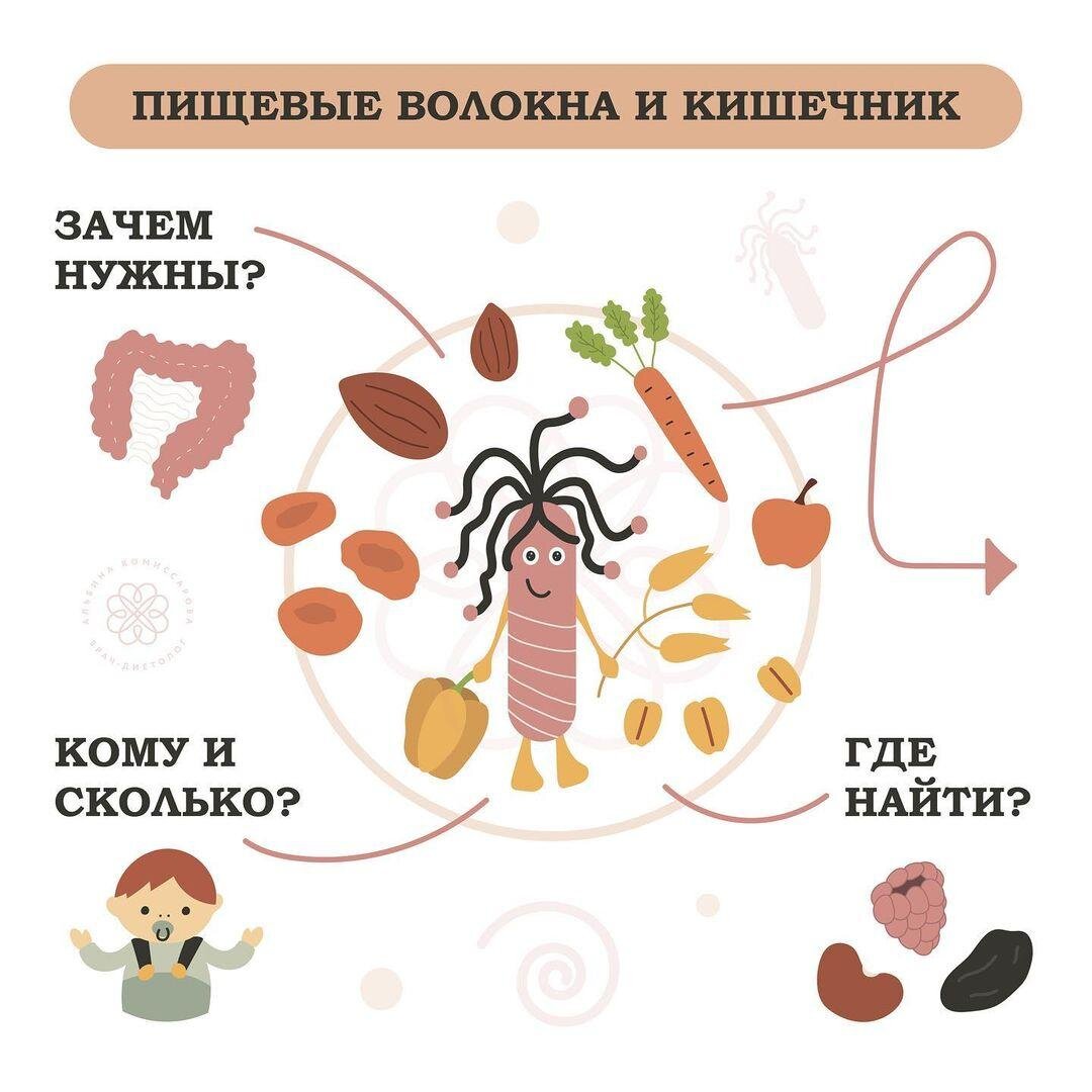 ПИЩЕВЫЕ ВОЛОКНА И КИШЕЧНИК | Доктор Комиссарова | Дзен