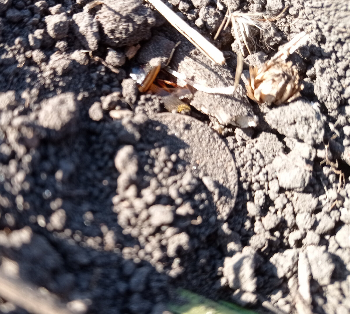 Лежит на самом верху, чуть ли не кричит   - вот она я!!!))) 