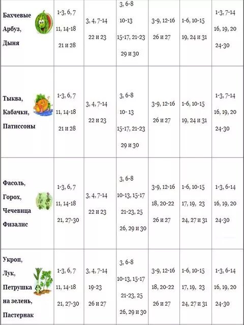 Посевной календарь борщ. Календарь посадок на 2022 для Подмосковья для лука. Календарь посадок на 2022 год для чеснока на зиму.