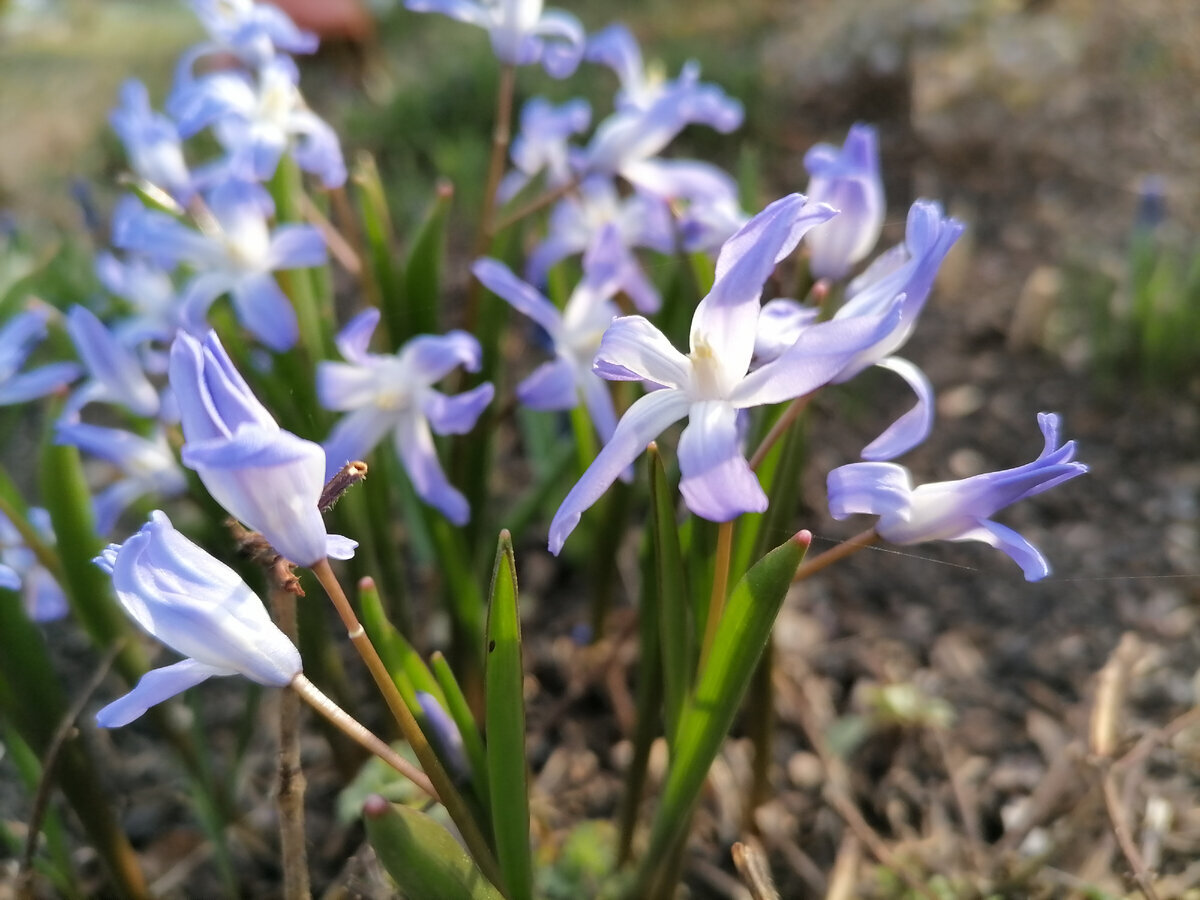 Добавьте описание