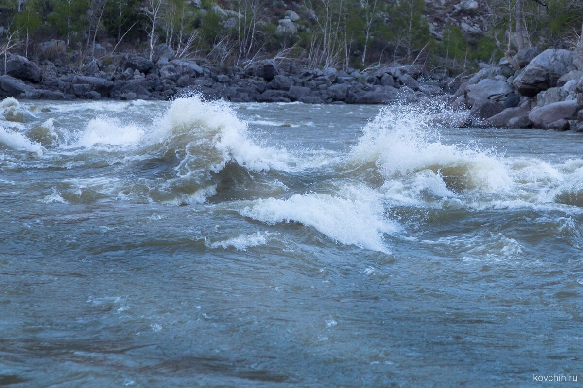 фото из интернета