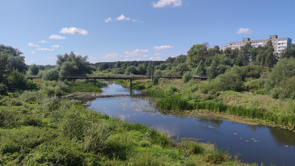 Специалисты предложили благоустроить территорию и оборудовать места для отдыха