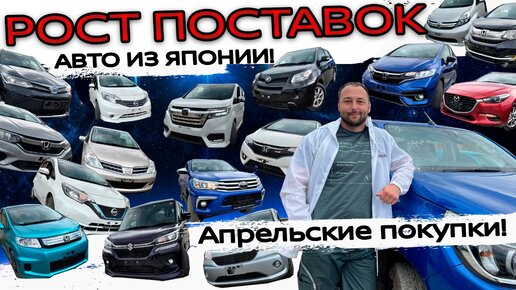 Авто из японии телеграмм