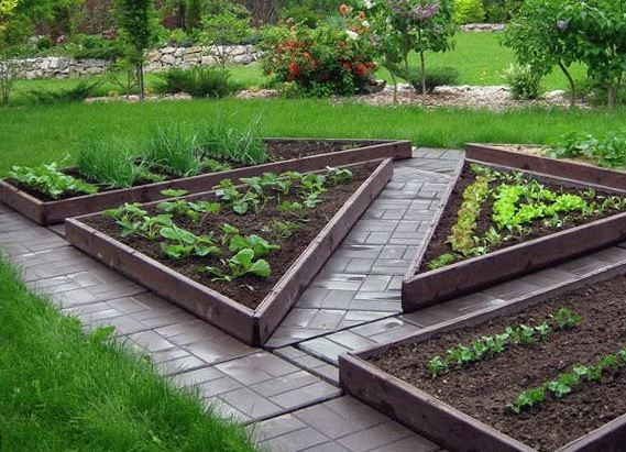 Как без бетонных бордюров отделить грядки и цветники от садовых дорожек? (3 варианта)5