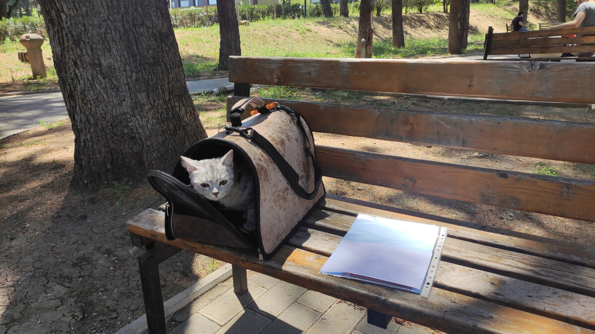 Сделал сертификат, гуляй смело ;)