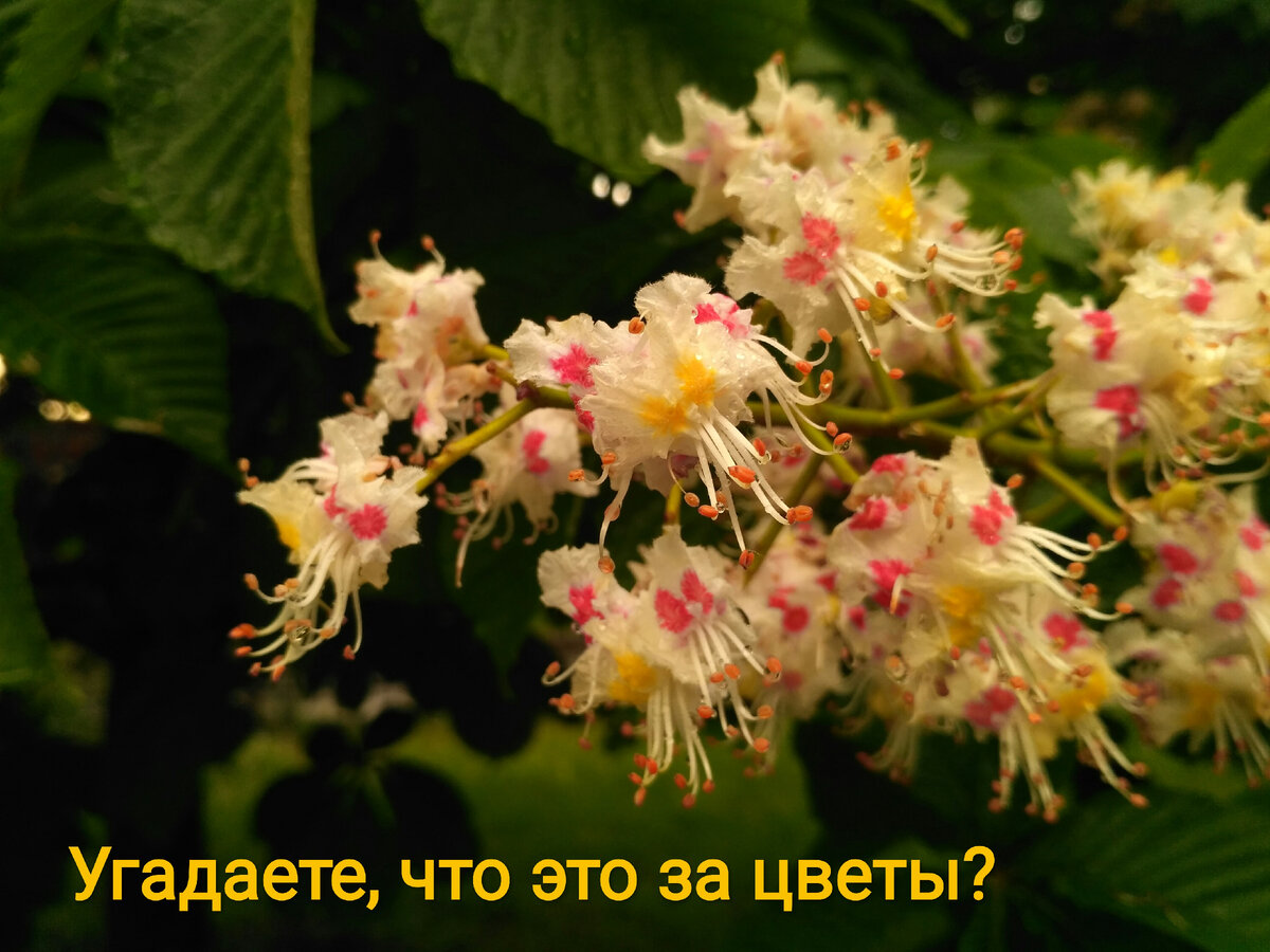 Ответ в конце статьи
