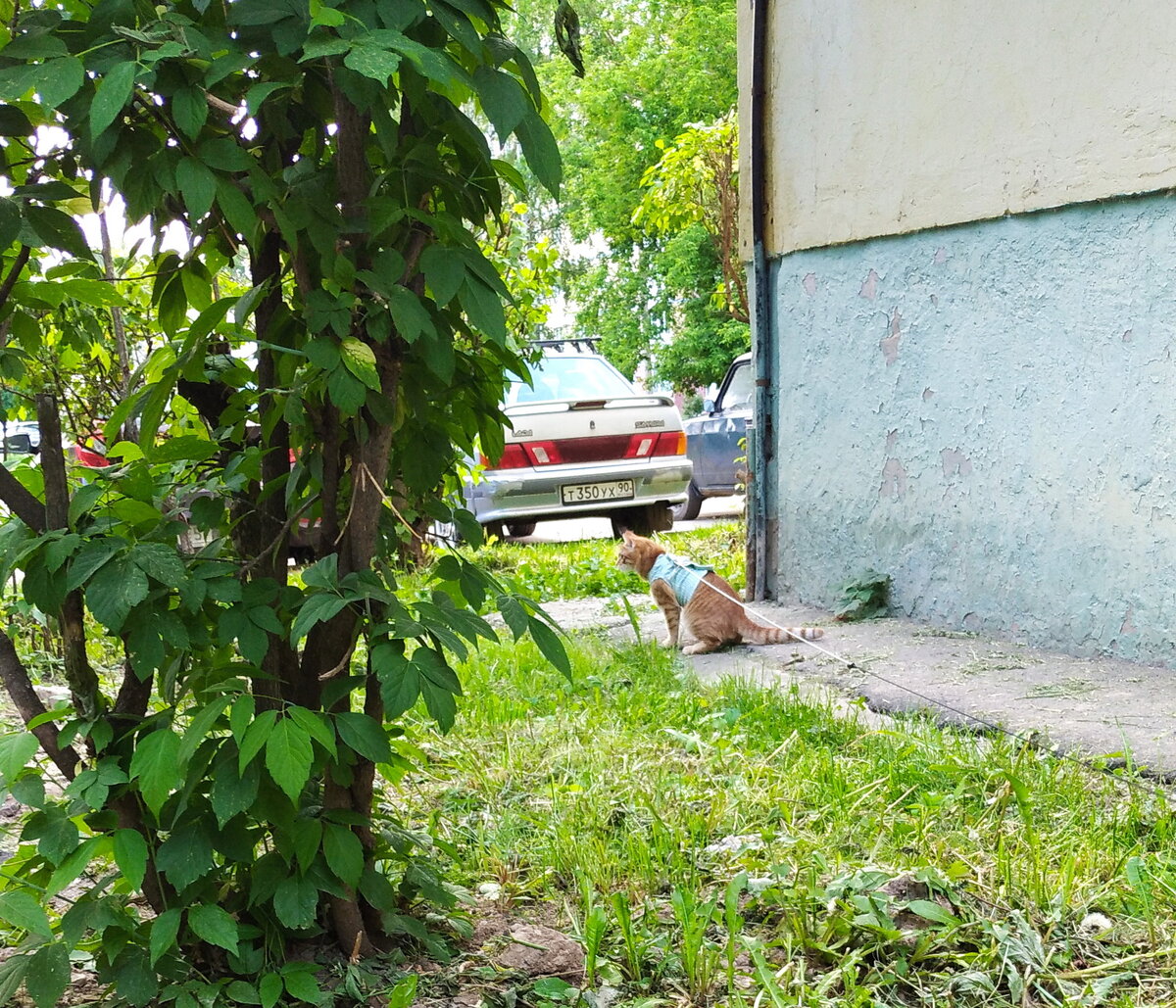 Личное  фот