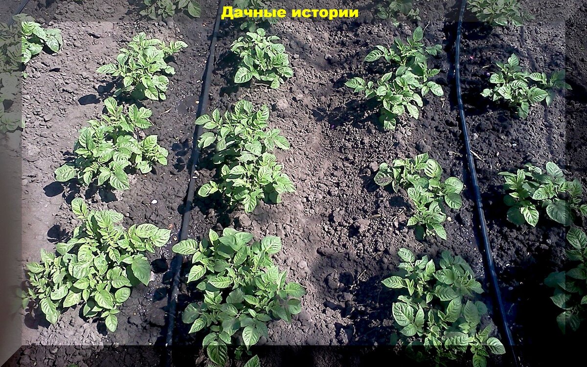 https://vk.com/photo-159774511_457253956