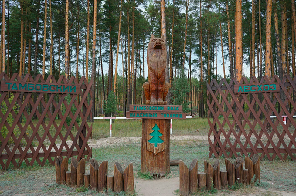 Tambov wolf. Тамбовский волк скульптура в Тамбове. Памятник волку в Тамбовской области. Тамбовский волк символ Тамбова. Тамбовский лесхоз волк.