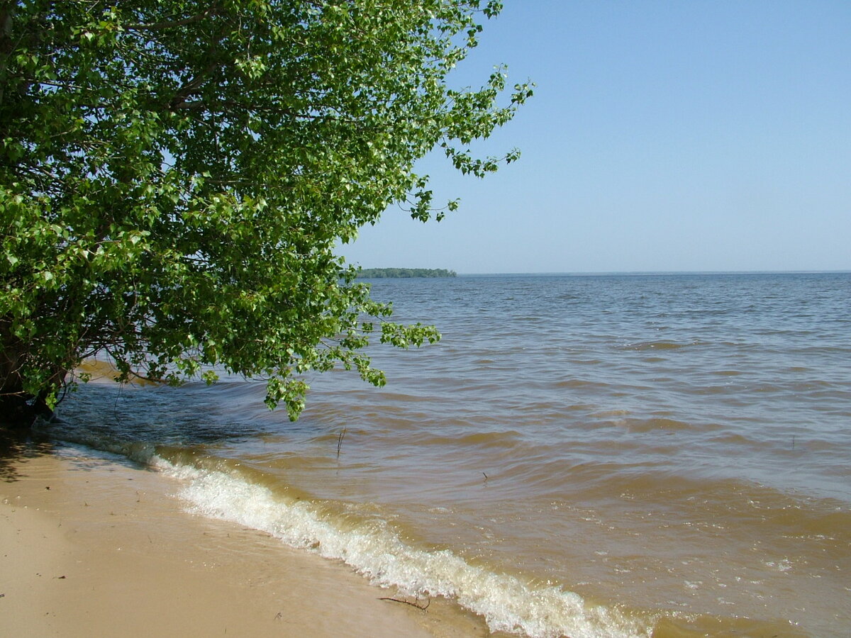 Парк "Цимлянские пески". Фото: https://park.volgograd.ru/natural_parks/