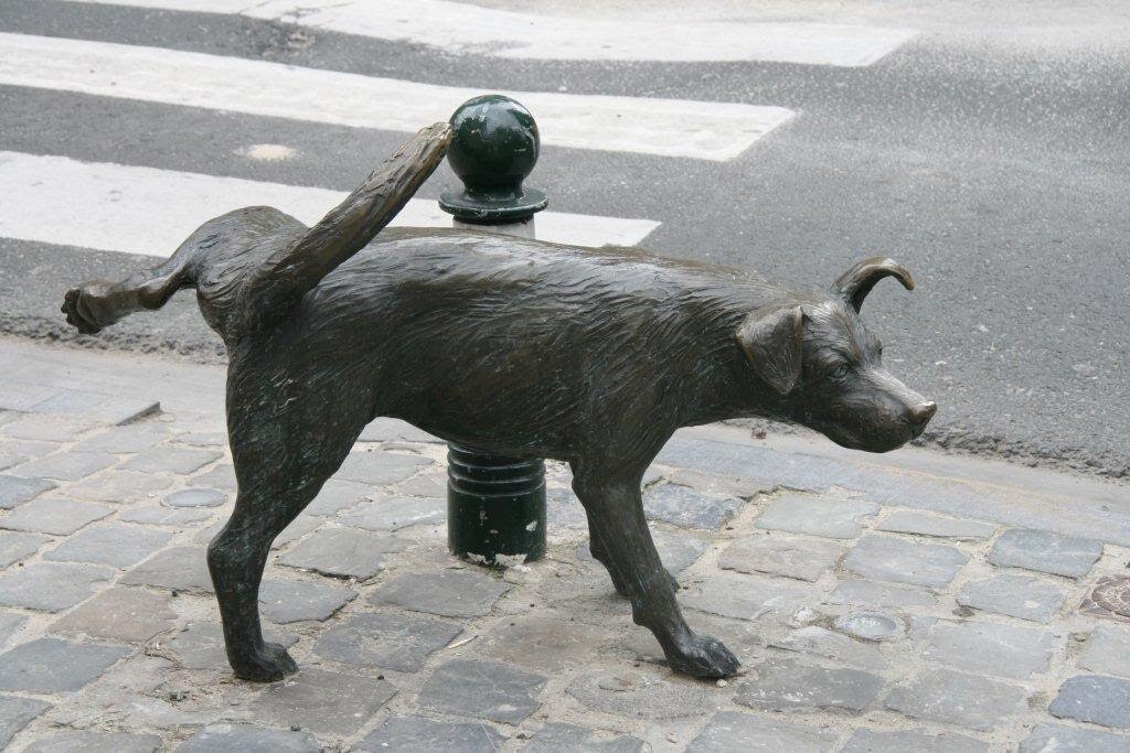 Писающая собака, Брюссель