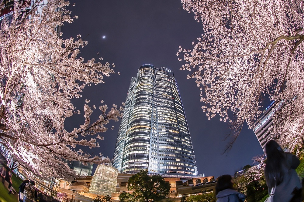 Roppongi ул ленина 11г фото Гид по местам действий. Сорок Миль Дзен