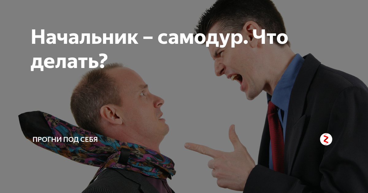 Ваш директор. Руководитель самодур. Начальство самодур. Картинки про начальника самодура. Начальник самодур фото.