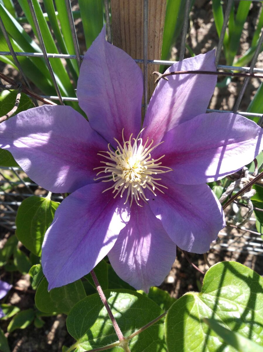 Для утешения