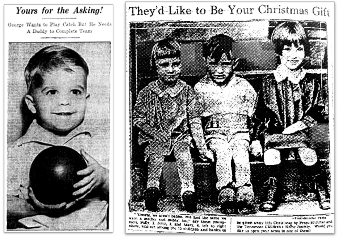 ОНИ МОГЛИ БЫ СТАТЬ ВАШИМ РОЖДЕСТВЕНСКИМ ПОДАРКОМ