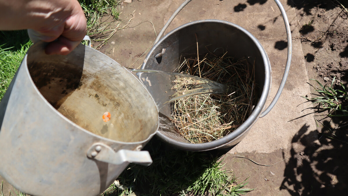 Делаю настой из сена.