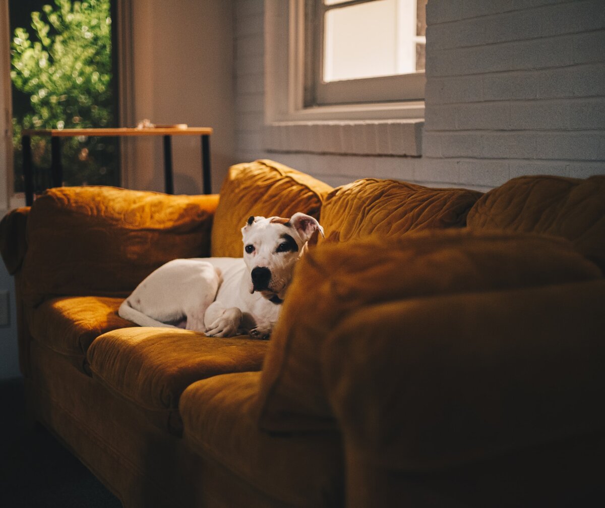   Unsplash