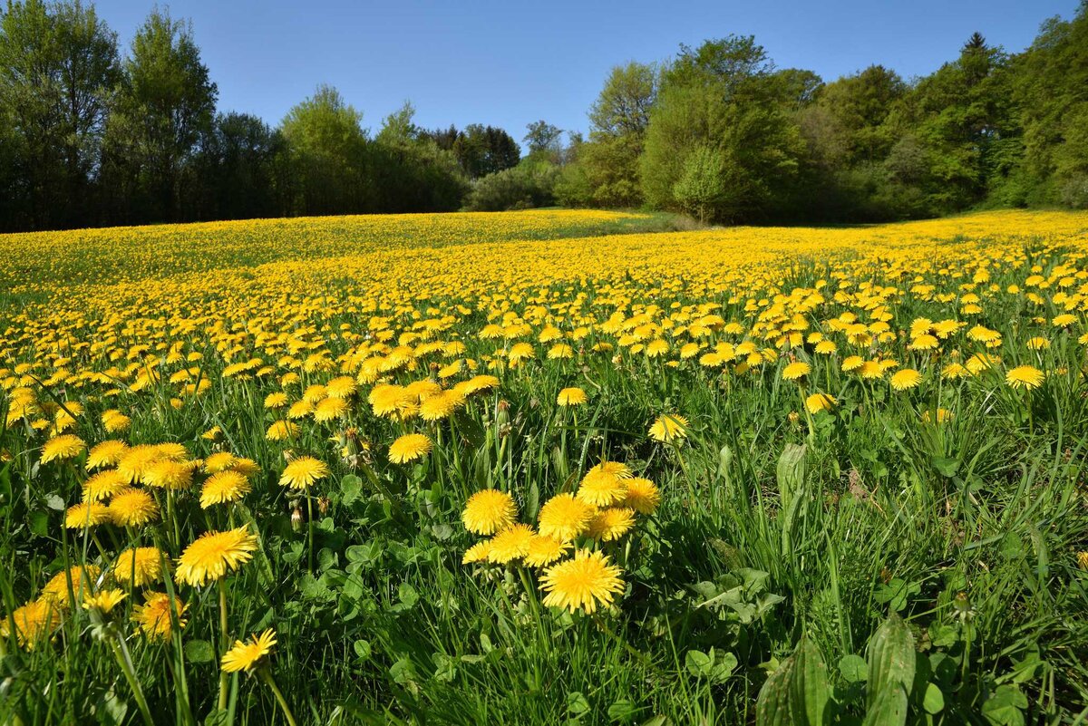 Нам это не нужно?