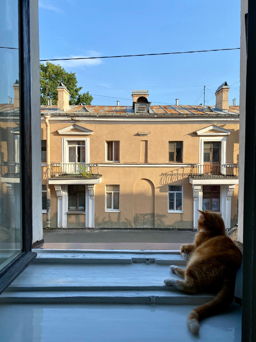 Вид из окна кухни