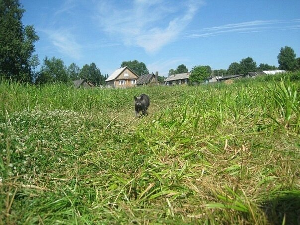 Моя деревня,дом брата.