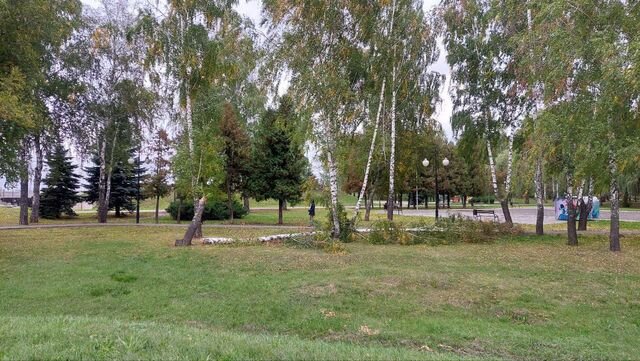   Последствия урагана в Курске Комитет городского хозяйства города Курска.