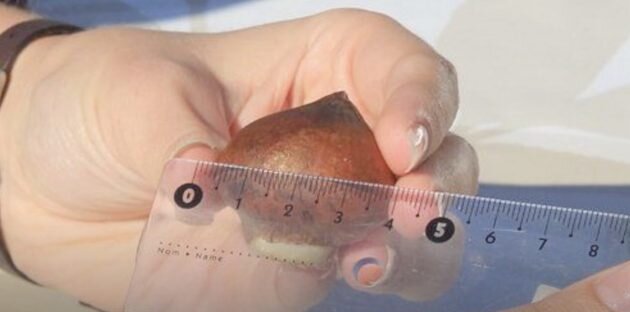 Кадр: Марина Мэй / YouTube📷
