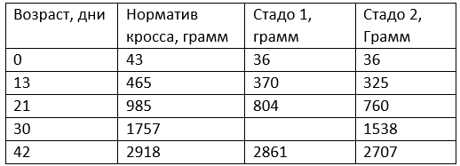 Откорм бройлеров комбикормом