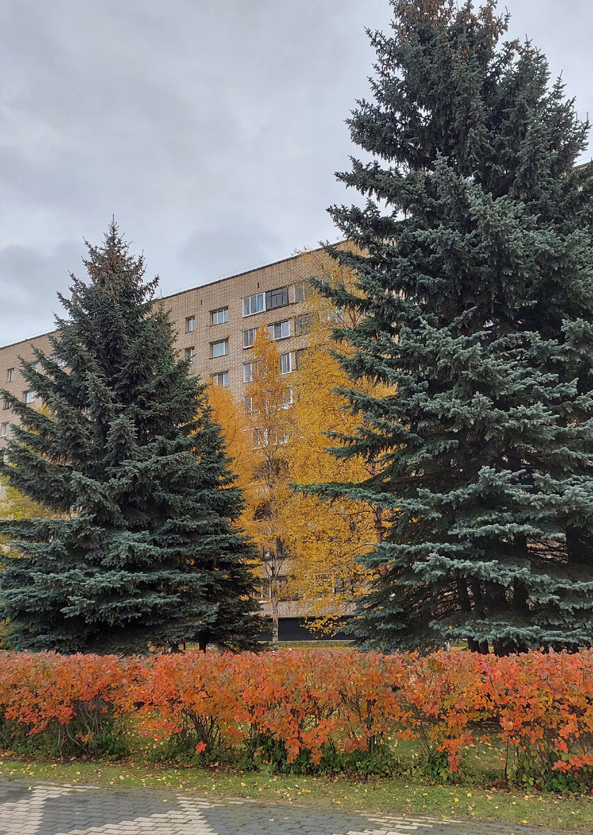 пр. Троицкий, 102