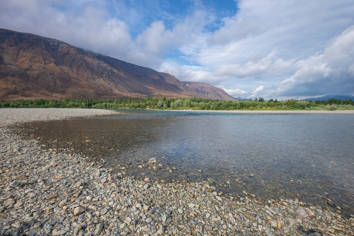 Фото: Karasev Viktor/Shutterstock/Fotodom