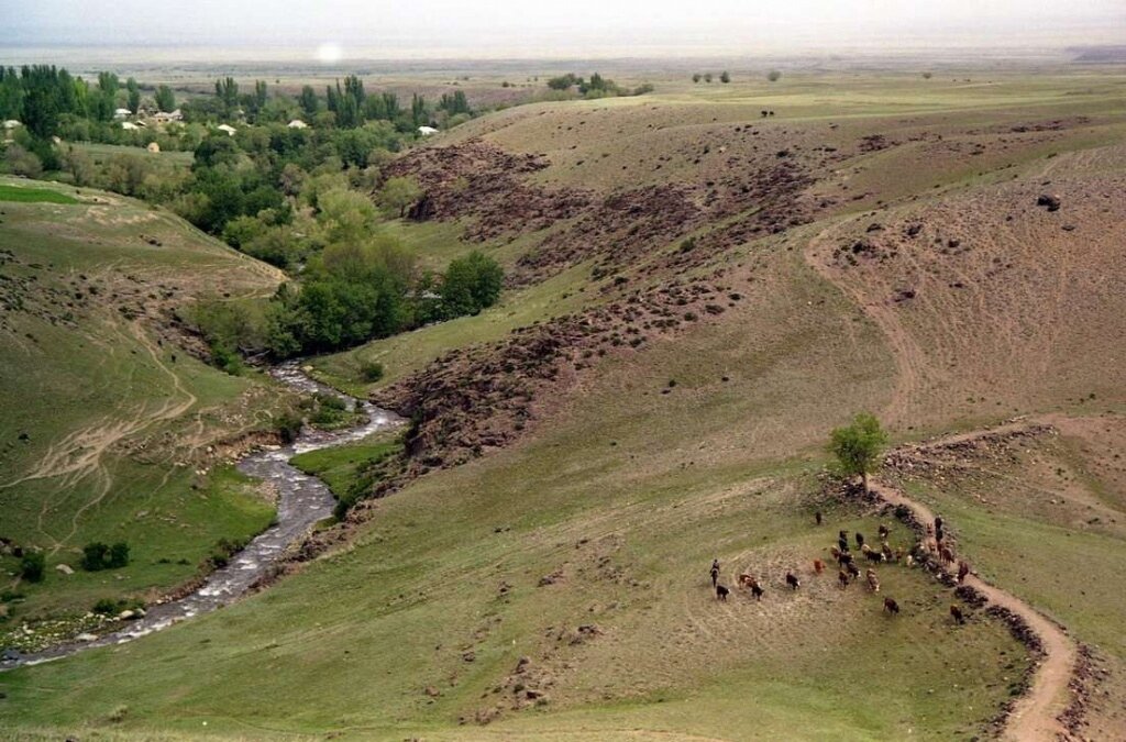 Потомки джунгаров