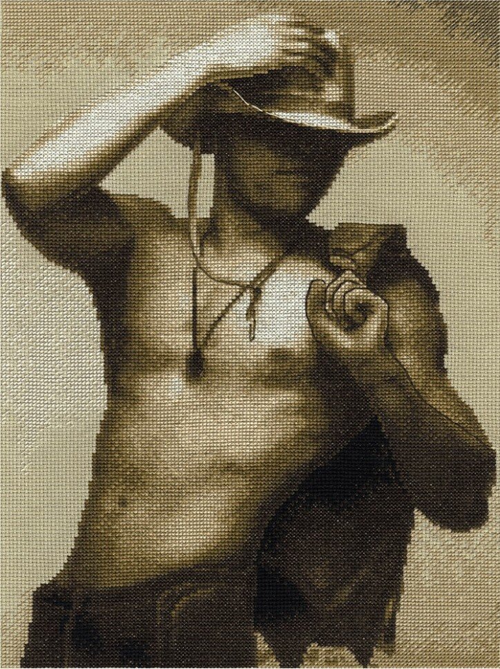 Panna (Панна) ЭР-1797 Ковбой, 24,5х34,5, аида 14, счетный крест.