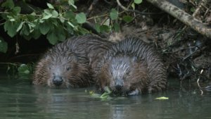    Фото: vk.com/kazdoytvaripopare