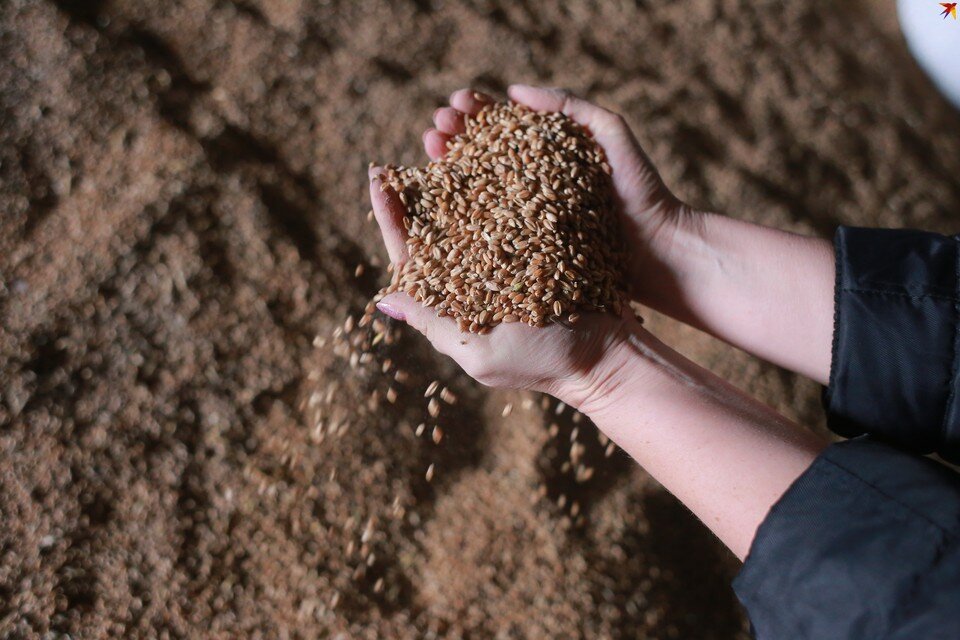    Заявителями на продукцию являются юрлица и индивидуальный предприниматель, осуществляющие деятельность в Красноярском крае. Мария АНАНОВА