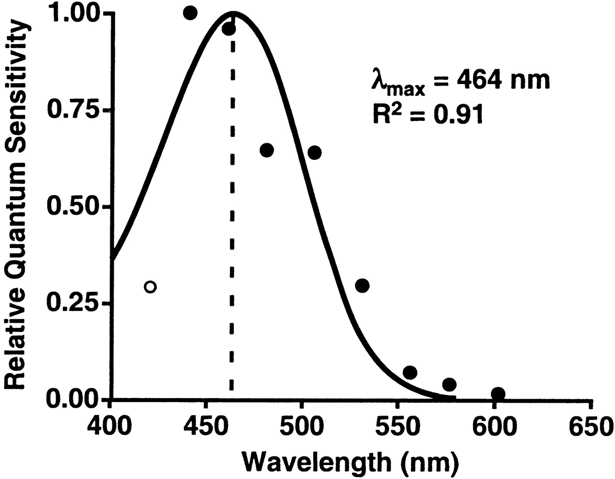     Подавление мелатонина светом в зависимости от длины его волны George C. Brainard et al. / Journal of Neuroscience, 2001