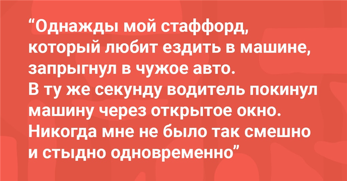 Фууу: анонимные секреты, откровения и жизненные истории — Лучшие за год — Подслушано