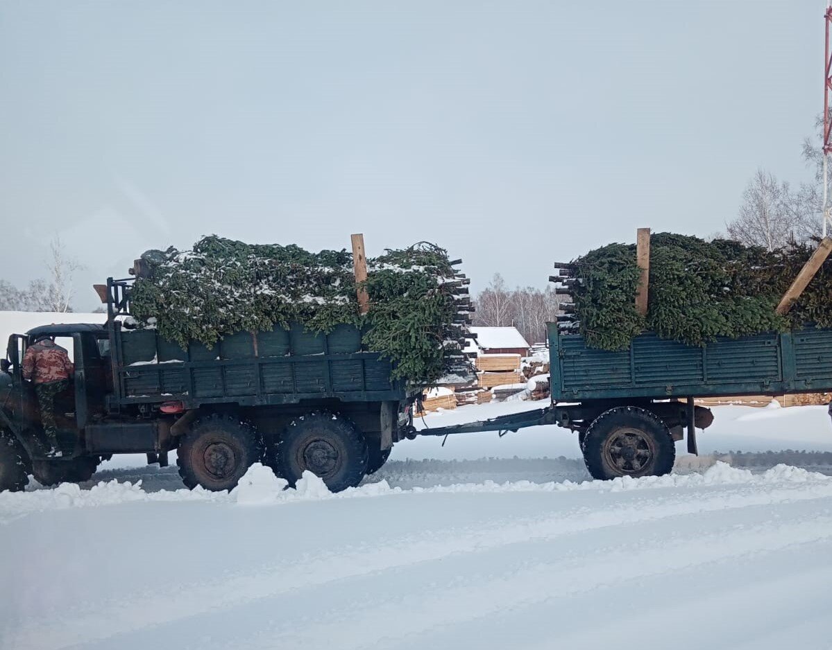 Фото: Минприроды Алтайского края