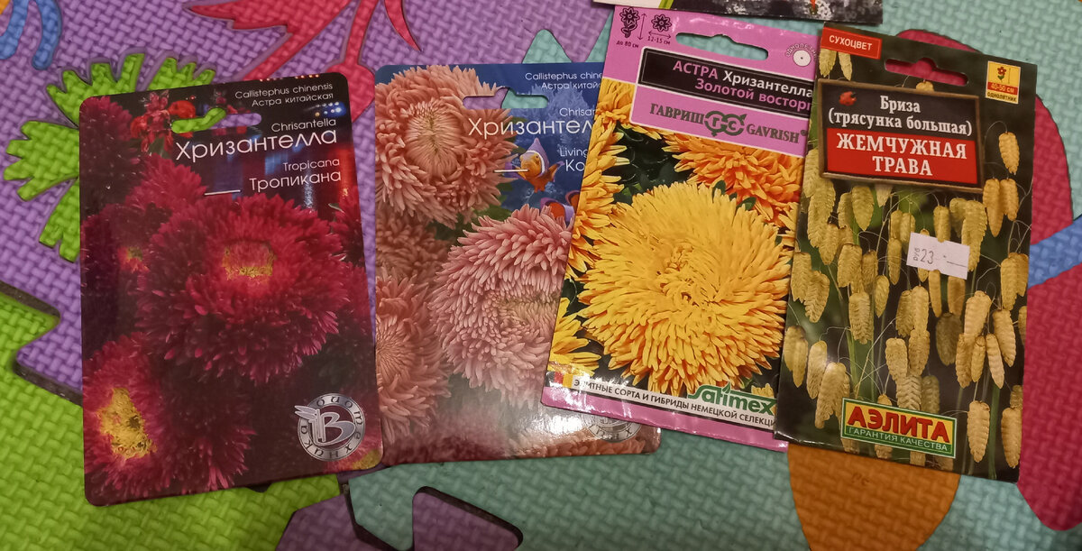 Хризантелла - модный цветок, буду пробовать. От обычных астр устала. Бриза - новинка для меня
