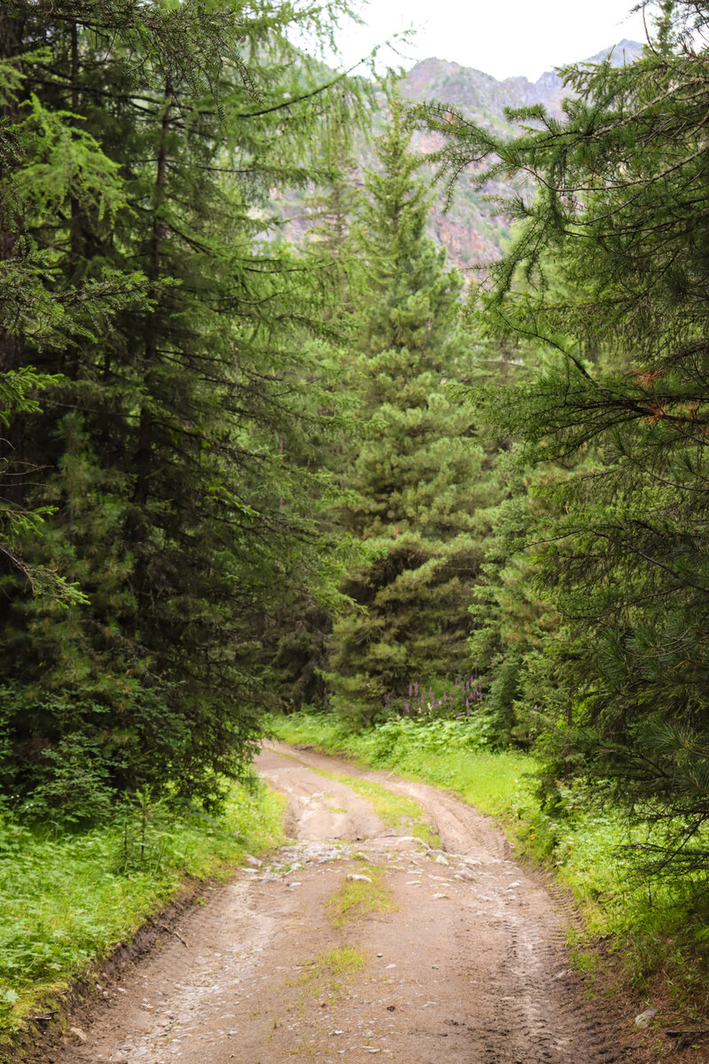 Дорога в нижний лагерь