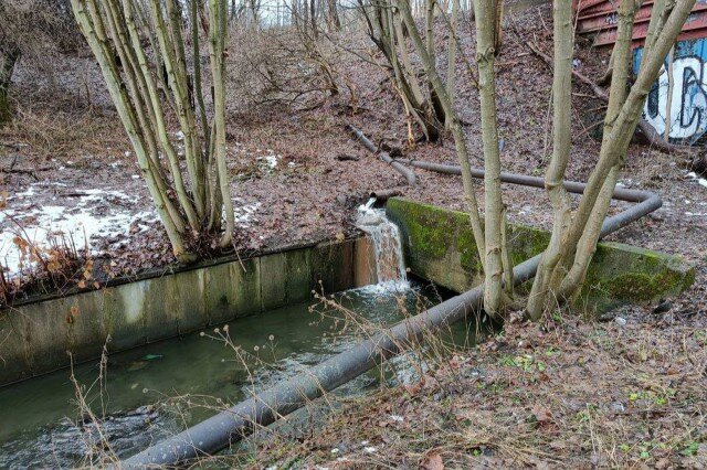  Фото: министерство природных ресурсов и экологии