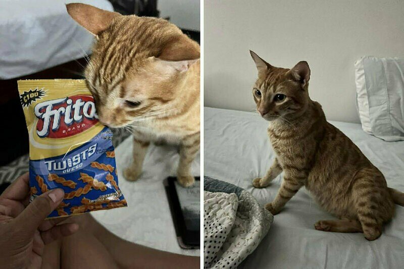 При смешной случай. 14 февраля демотиваторы. 14 смешных. Прикольный. Открытки валентинки прикольные.