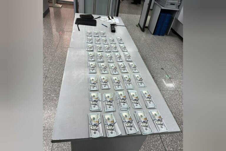    В аэропорту Оренбурга задержали пассажира с крупной суммой незадекларированных долларов Андрей Севостьянов