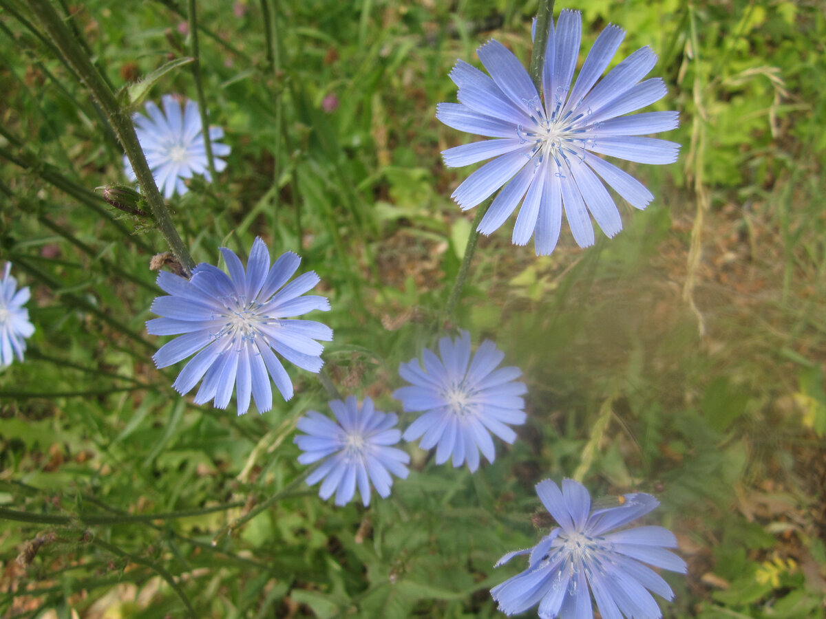 Фото автора публикации