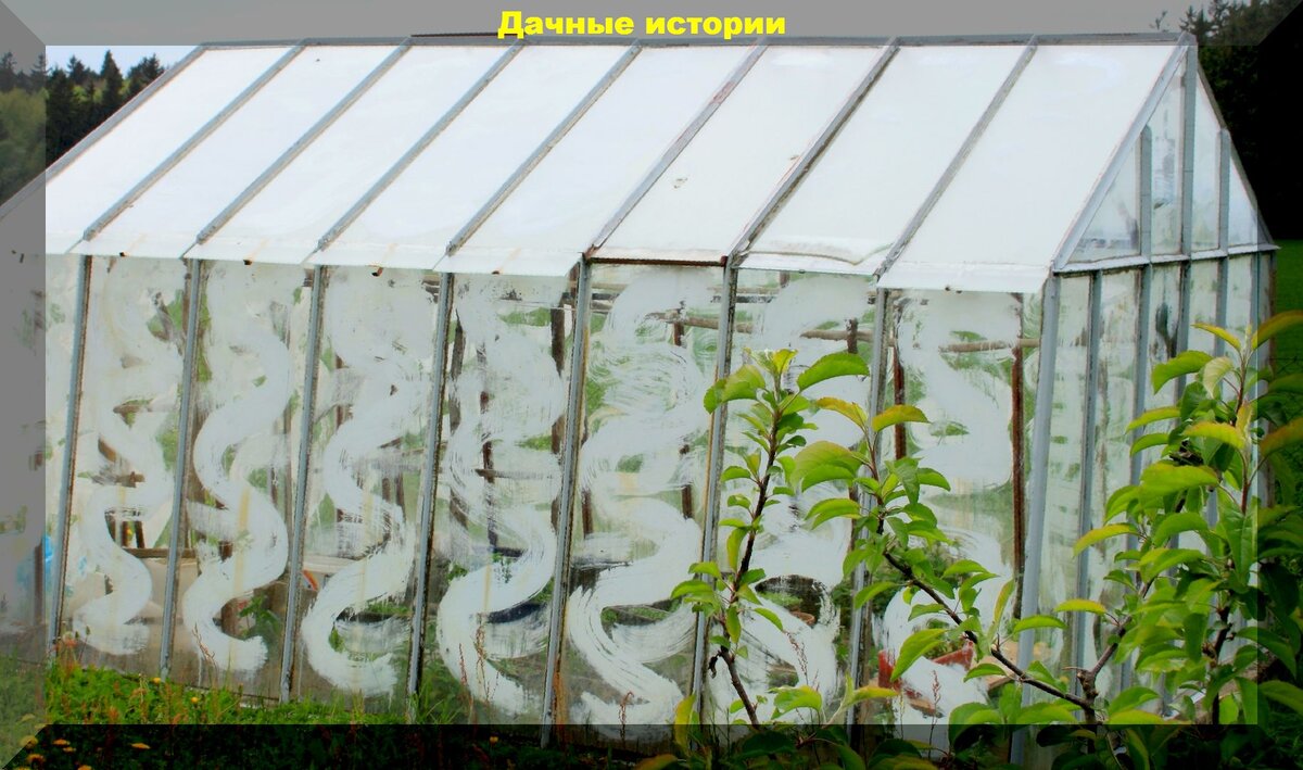 https://vk.com/photo-159774511_457247975