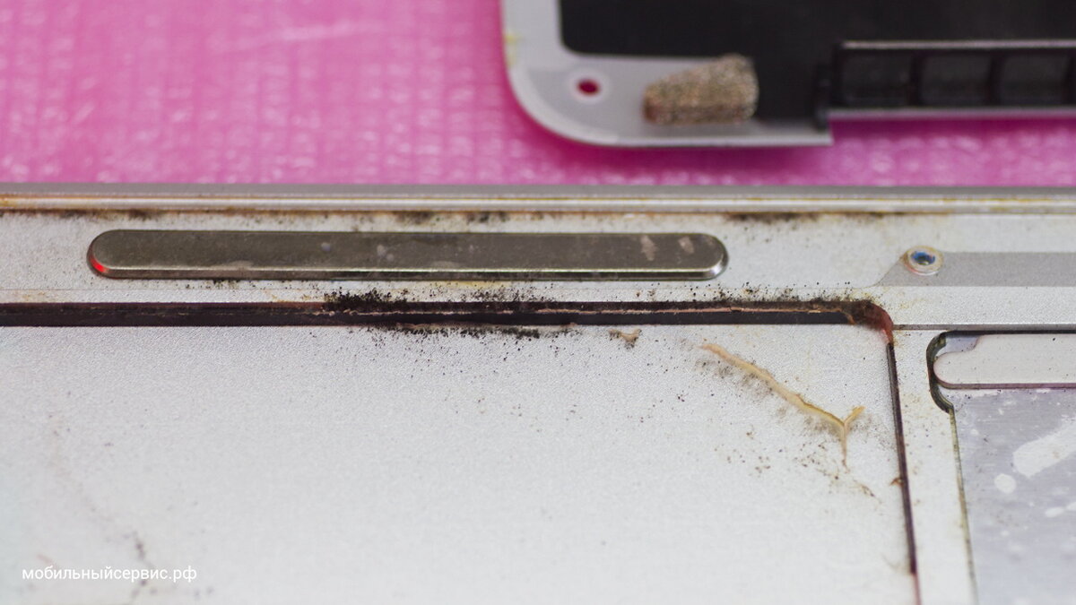 Следы плесени на корпусе макбука