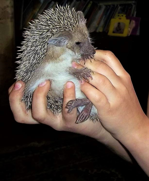 Фото из личного архива автора...