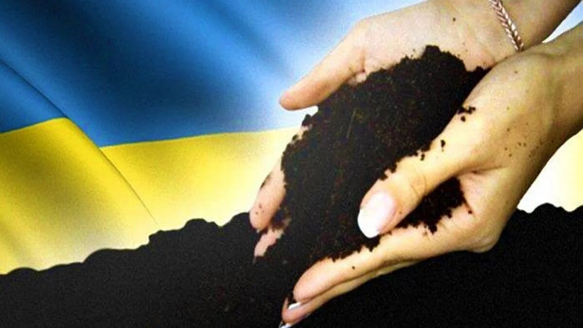 100 гектаров в одни руки