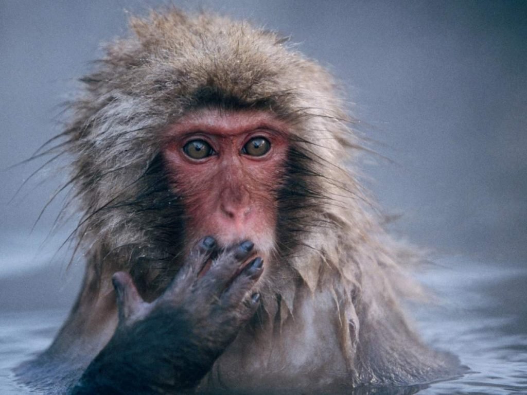 Фото из открытых источников для иллюстрации к тексту. Когда сняли с онкоучета, а ты и не знала!